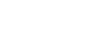 Life Links International